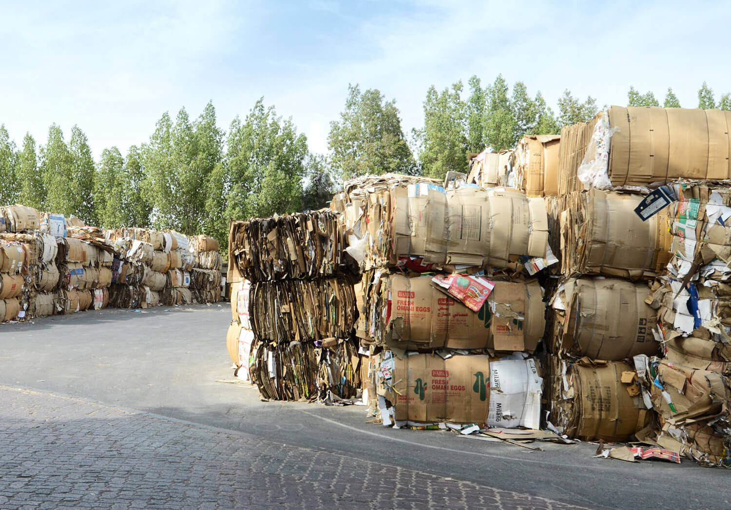 Al Dhafra Paper Manufacturing