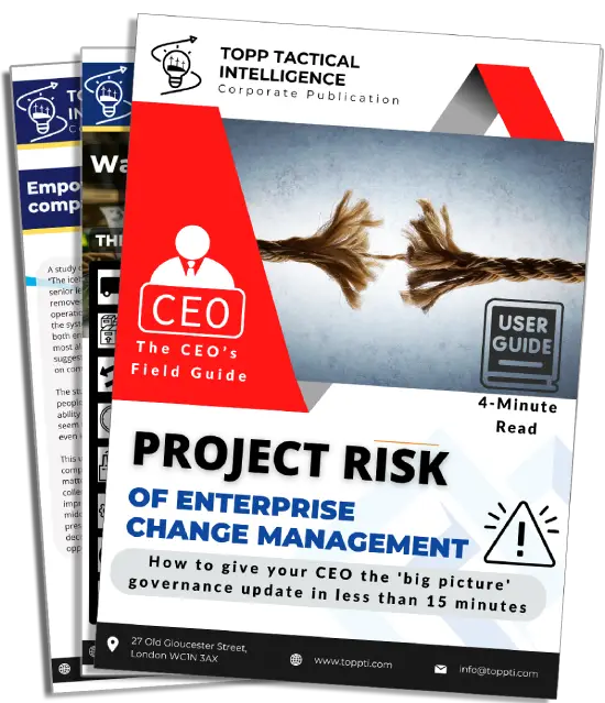 project risk mgmt​